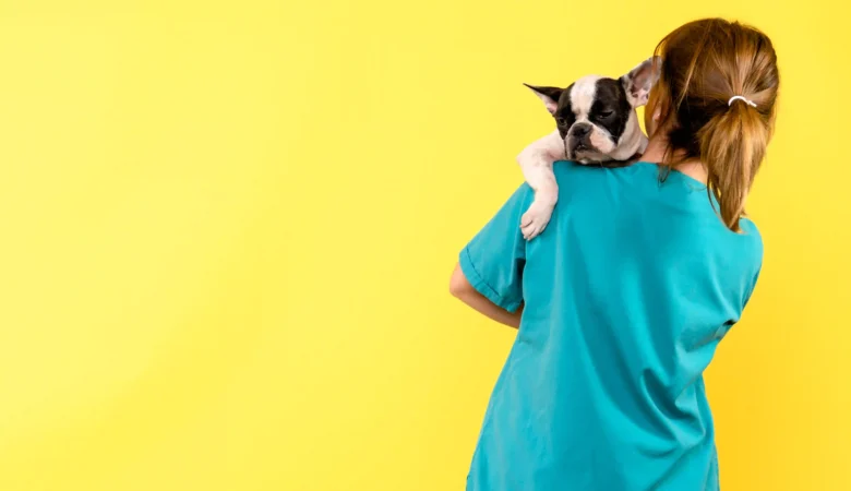 Best Veterinarian Near Cloverdale: What to Look for When  Choosing a Vet