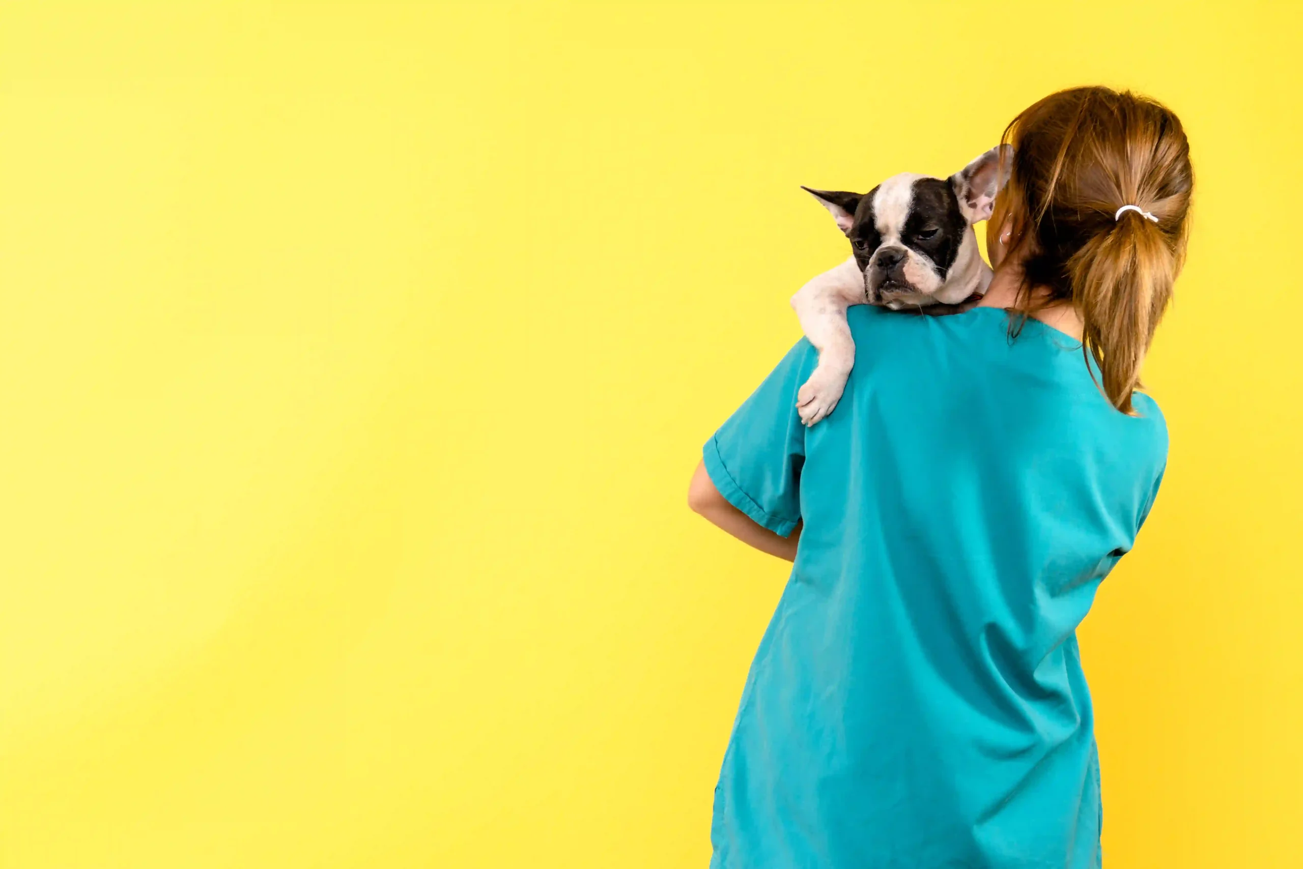 best veterinarian near cloverdale