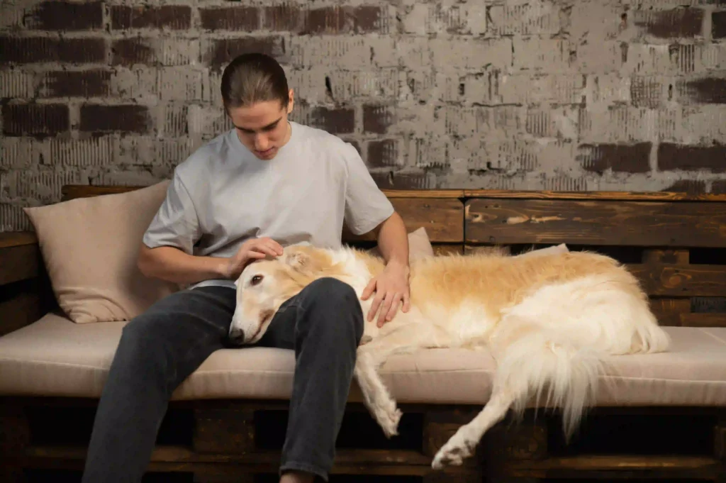 caring for older pets in surrey