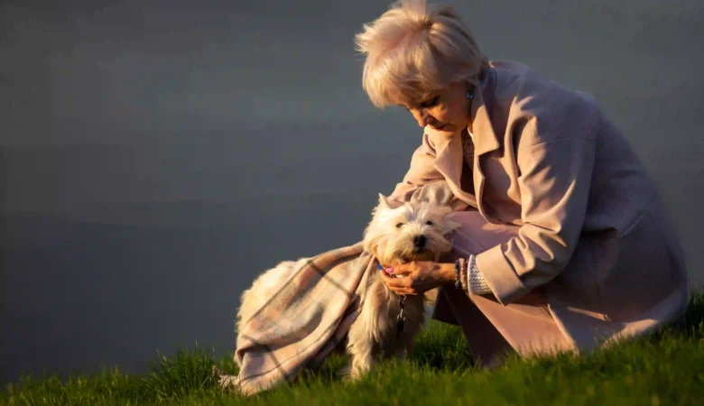 Senior Dog Care in Surrey: Keeping Older Pets Healthy and Comfortable