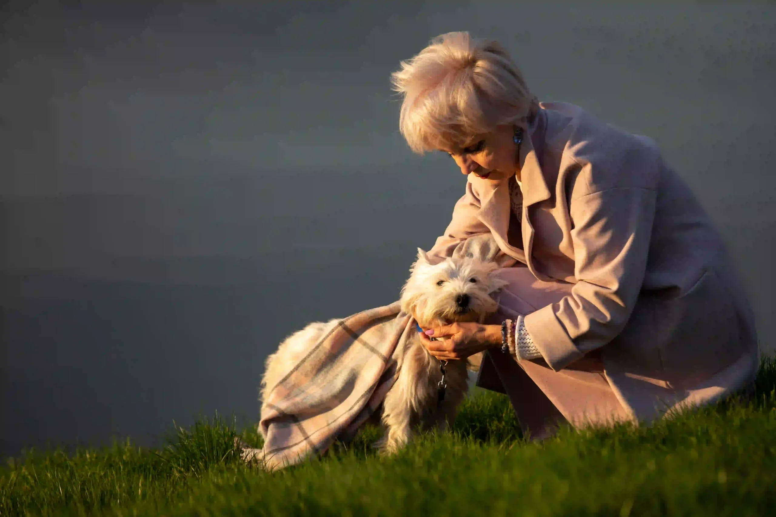 senior dog care in surrey