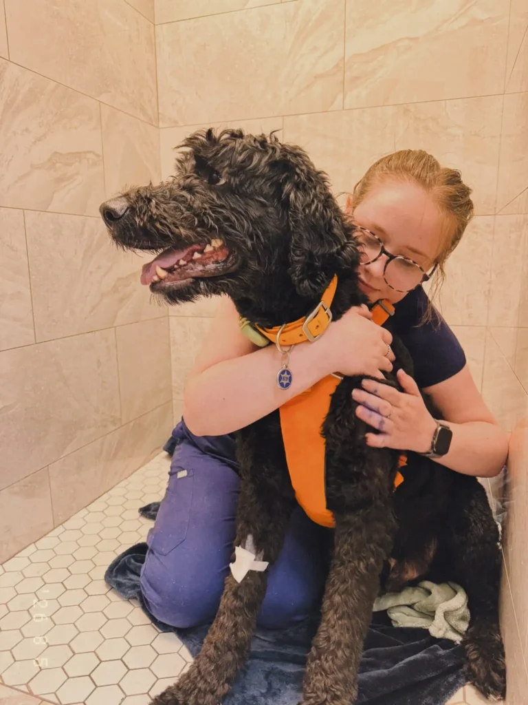 spaying your dog in surrey