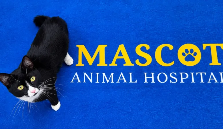 What Does a Blood Test Tell You About Your Dog or Cat? A Vet’s Guide to Common Results