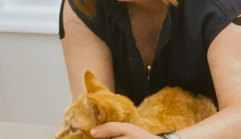 Why Is My Cat Vomiting? Common Causes Explained by Veterinarians