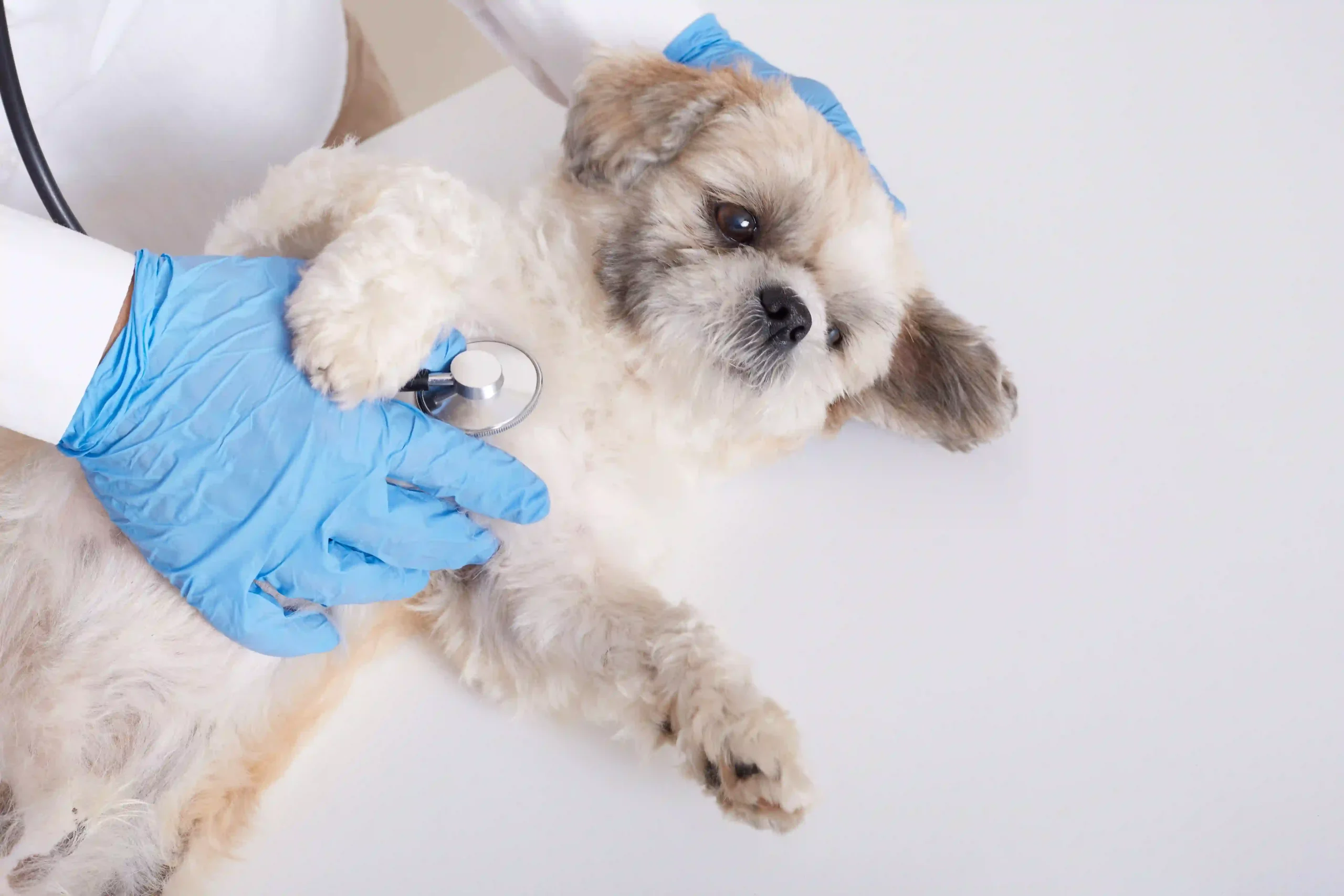 Anesthesia and Safety