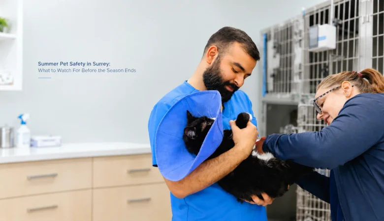 Summer Pet Safety in Surrey: What to Watch For Before the Season Ends